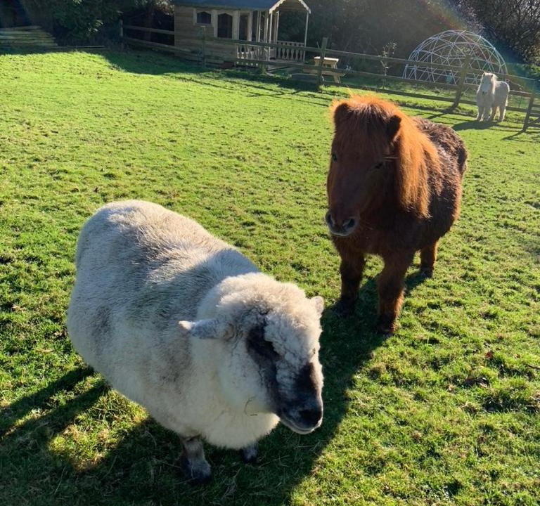Photo of Others in Helford Passage