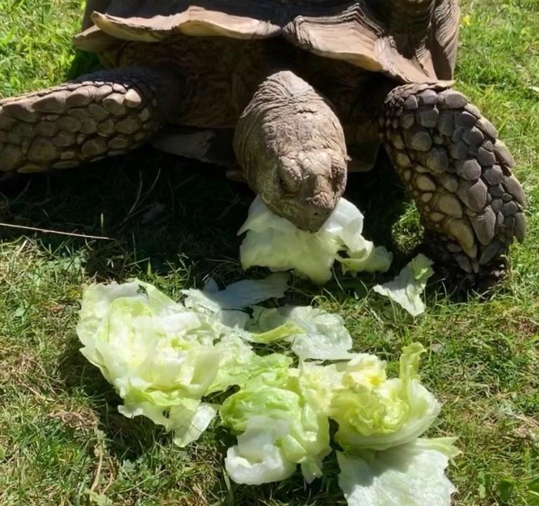 Photo of Others in Helford Passage