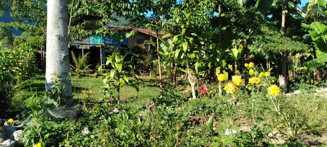 Photo of Outdoor in Ruteng