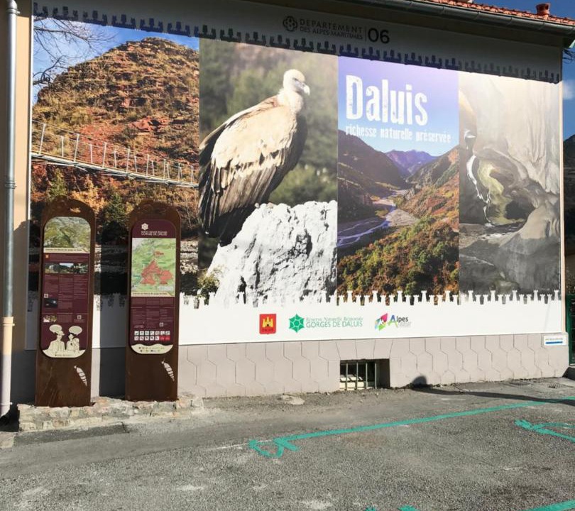Photo of Others in Daluis
