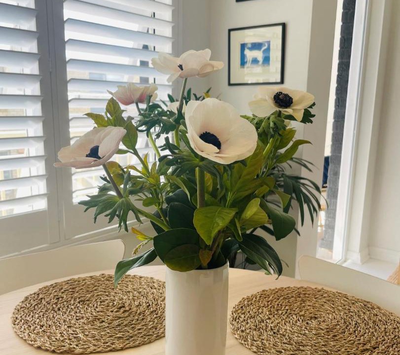 Photo of Others in Avalon Beach