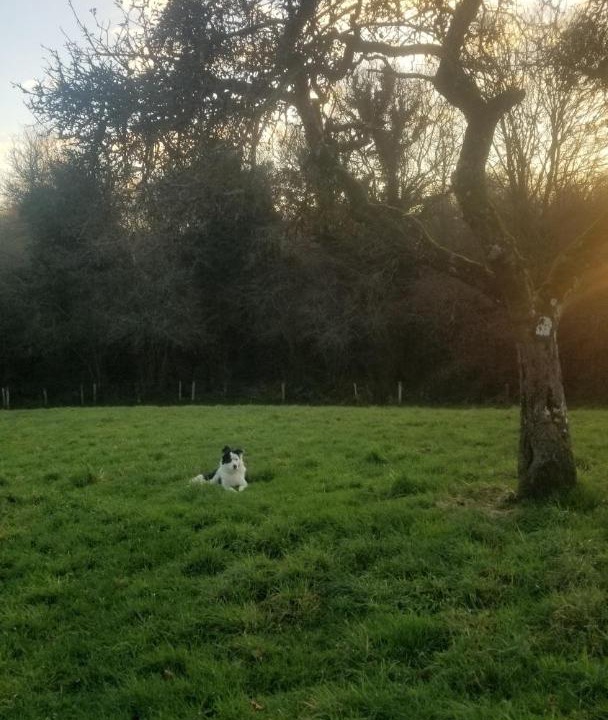 Photo of Outdoor in Saint-Brigitte