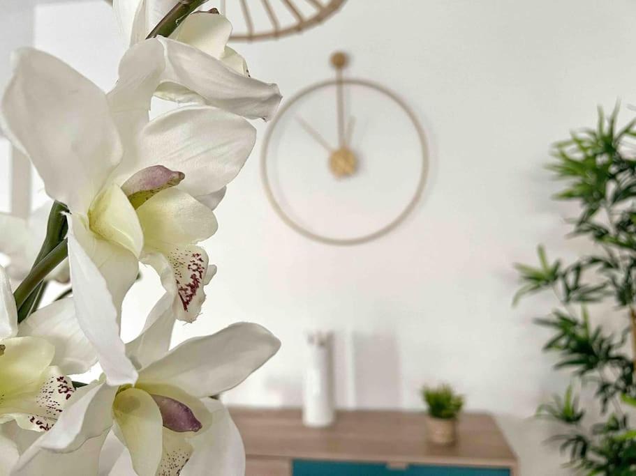 Photo of Others in Carquefou