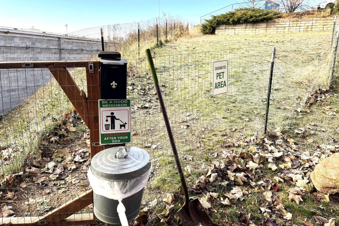 Photo of Others in Moscow