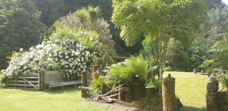 Photo of Others in Waimiha