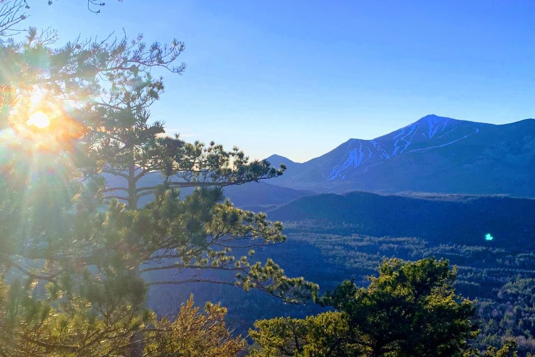 Photo of Others in Wilmington