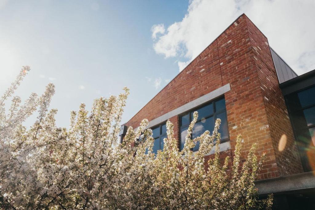 Photo of Others in New Gisborne