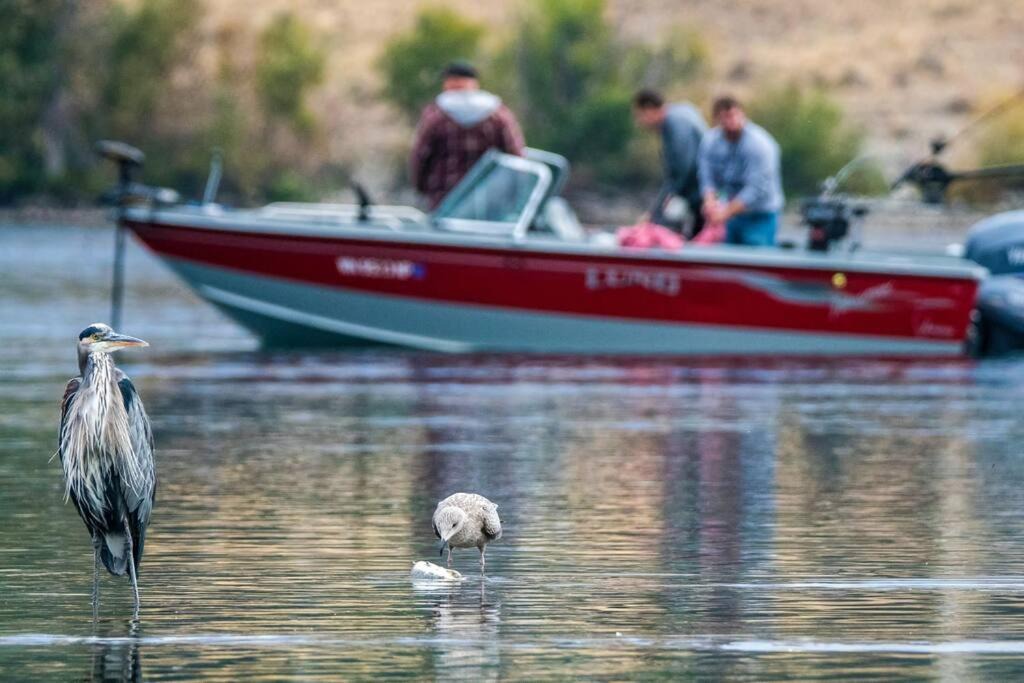 Photo of Others in Sabula