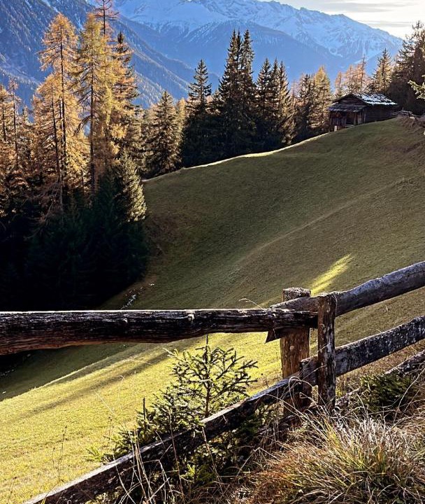 Photo of Outdoor in Wiesen