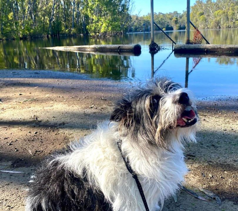 Photo of Outdoor in Koonoomoo