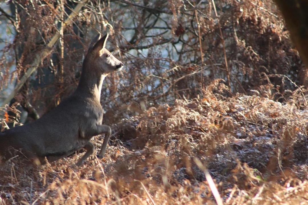 Photo of Others in Wimborne