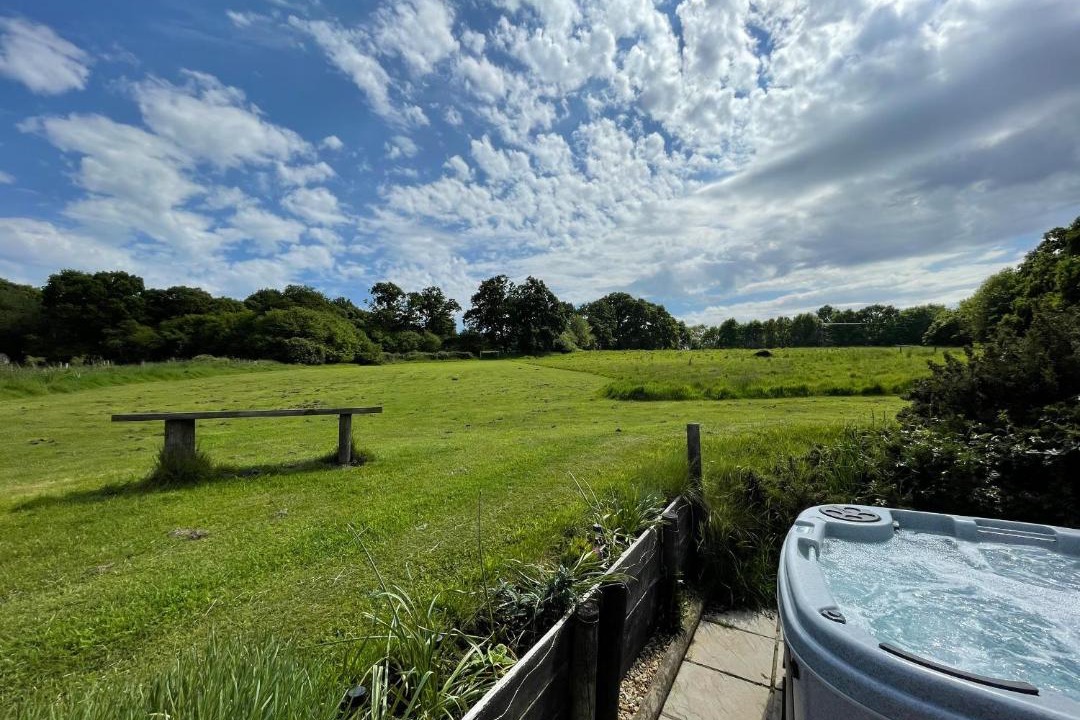 Photo of Others in Wimborne