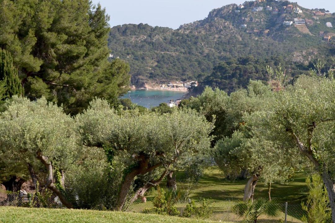 Photo of Outdoor in Aiguablava