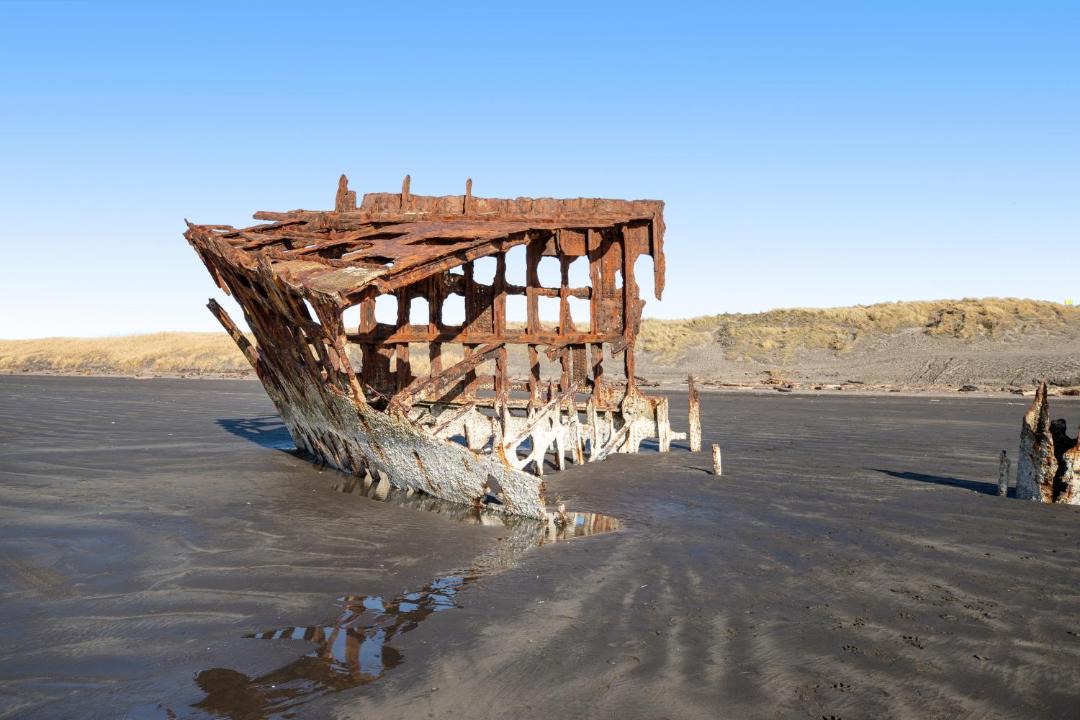 Photo of Others in Gearhart