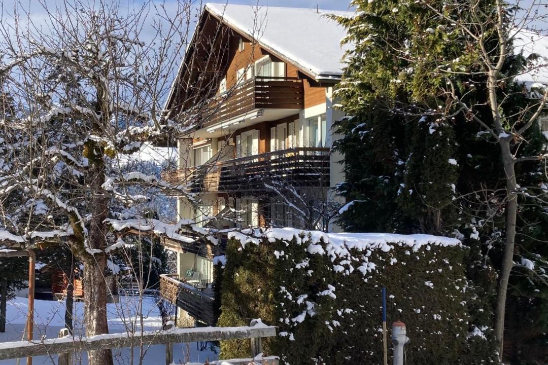 Photo of Others in Wengen
