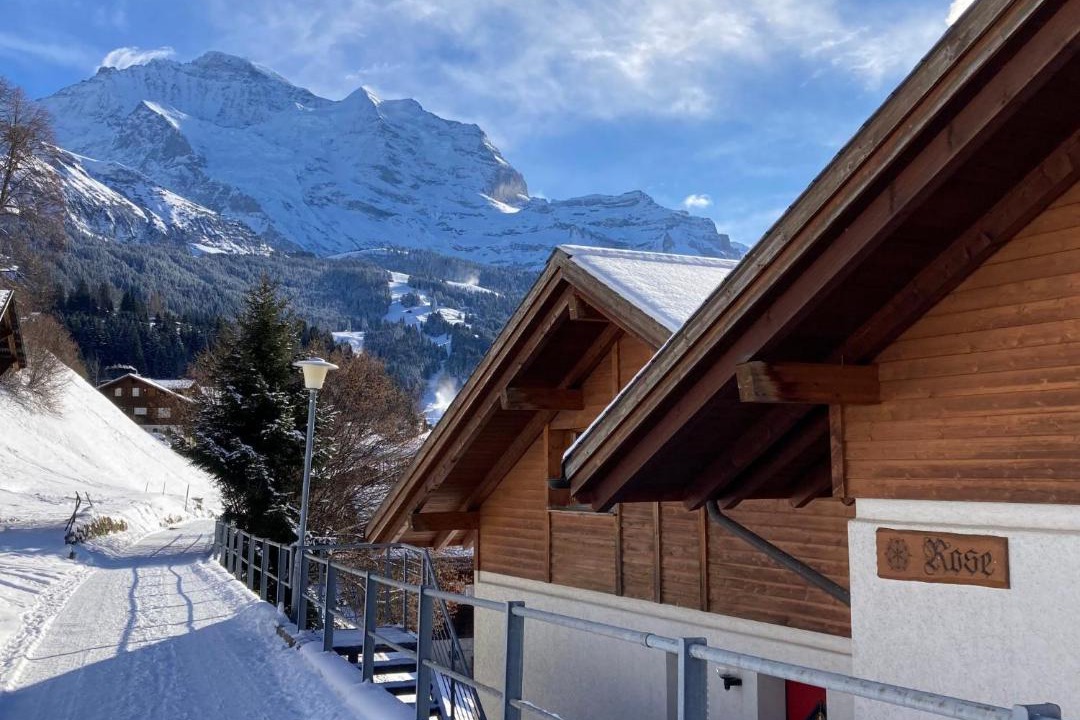 Photo of Others in Wengen