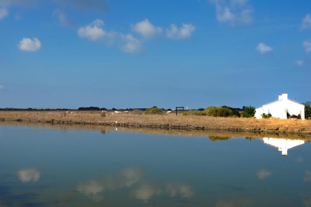 Photo of Outdoor in Beauvoir-sur-Mer