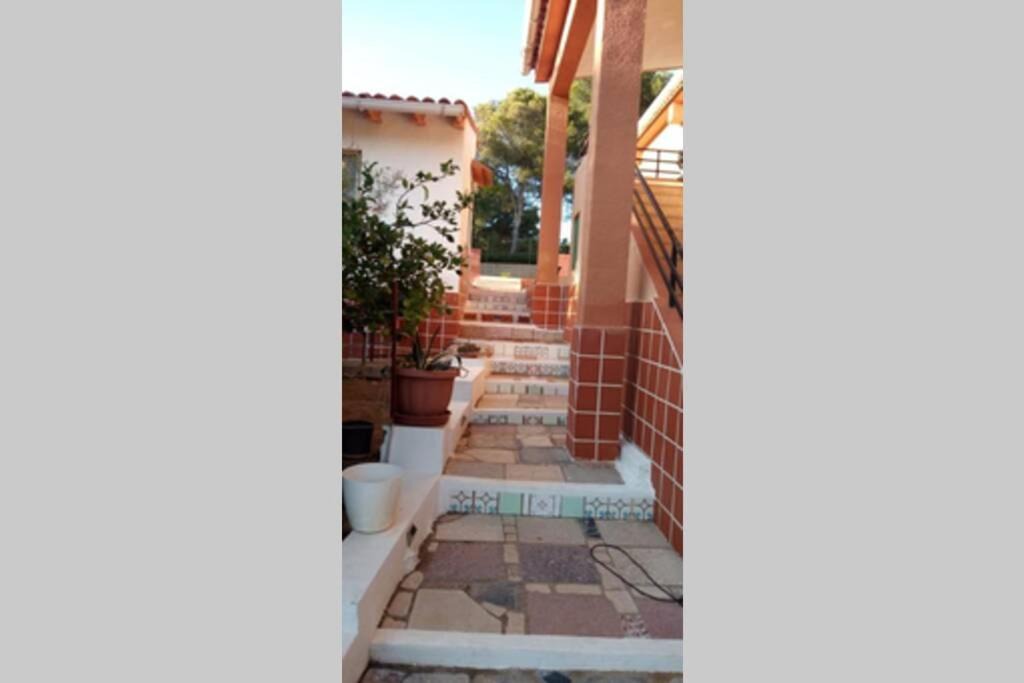 Photo of Others in Alzira