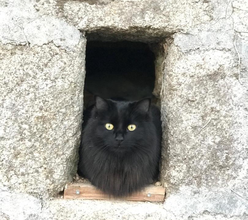 Photo of Bedroom in Ceyroux