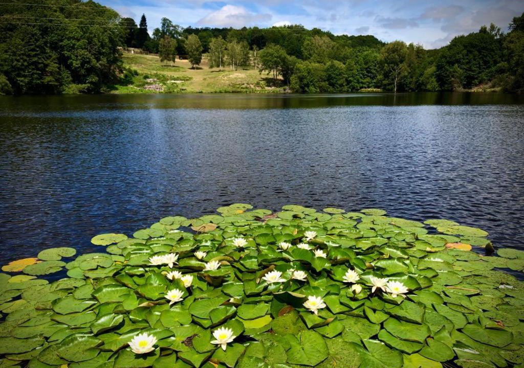 Photo of Outdoor in Ceyroux