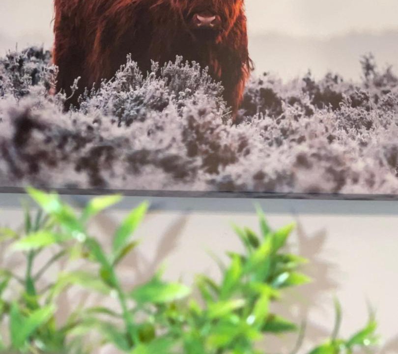 Photo of Others in Primos Secane