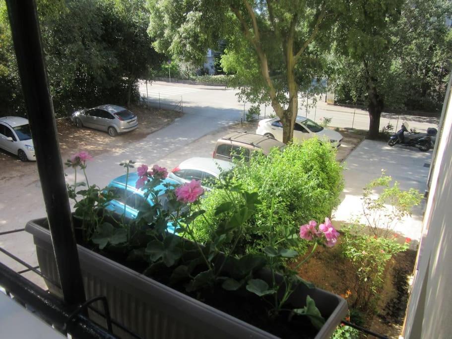Photo of Patio Balcony in Veruda