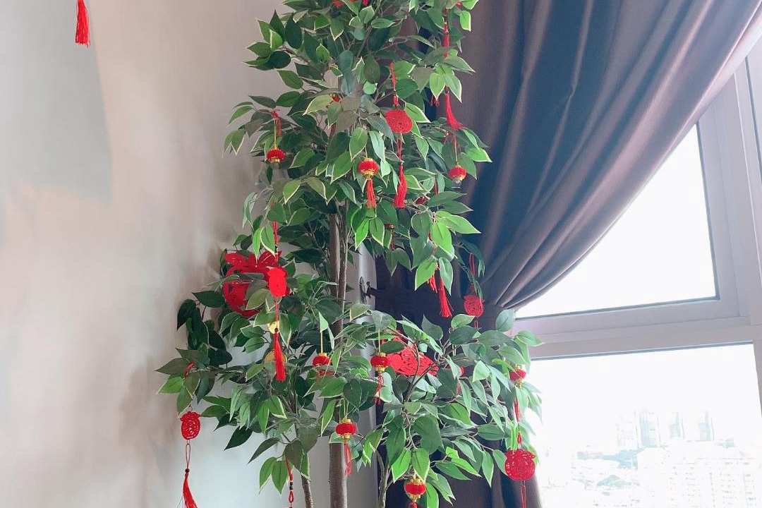 Photo of Others in Taman Kok Lian