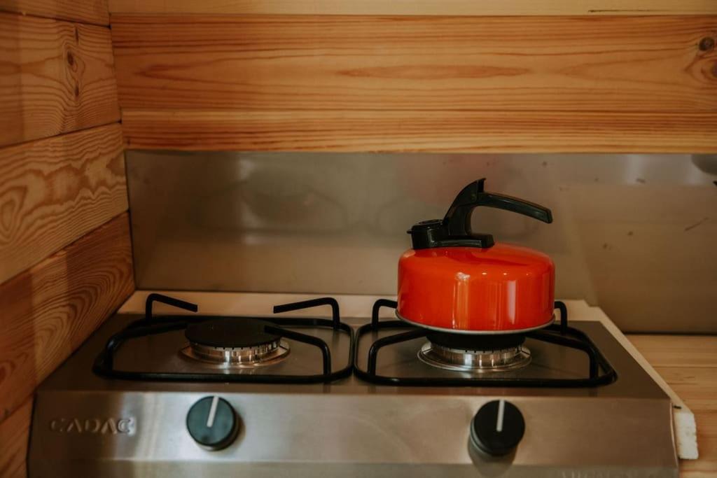 Photo of Kitchen in Llanelltyd