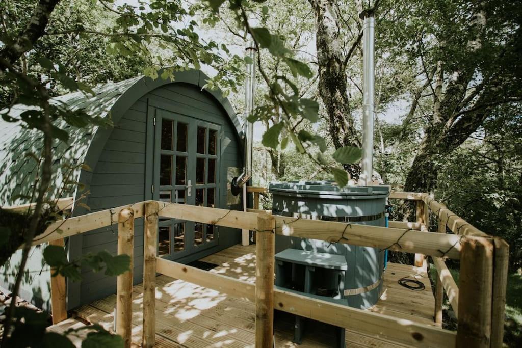 Photo of Buildings in Llanelltyd