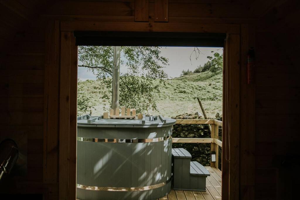 Photo of Kitchen in Llanelltyd