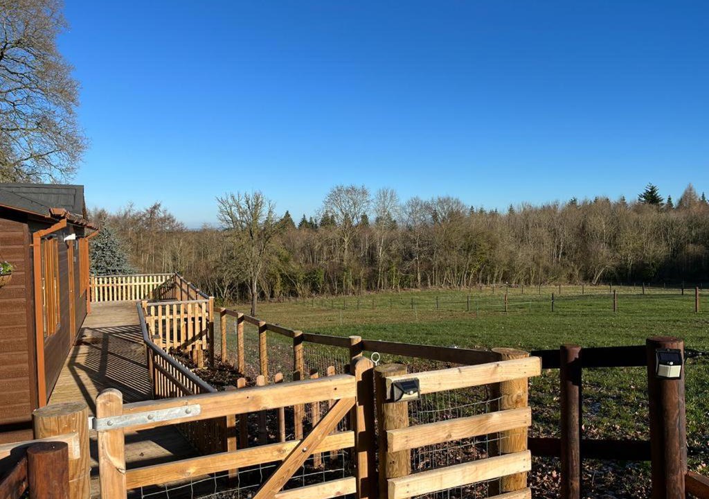 Photo of Others in Hereford