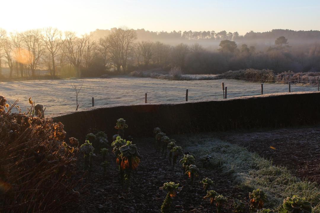 Photo of Outdoor in Allaire