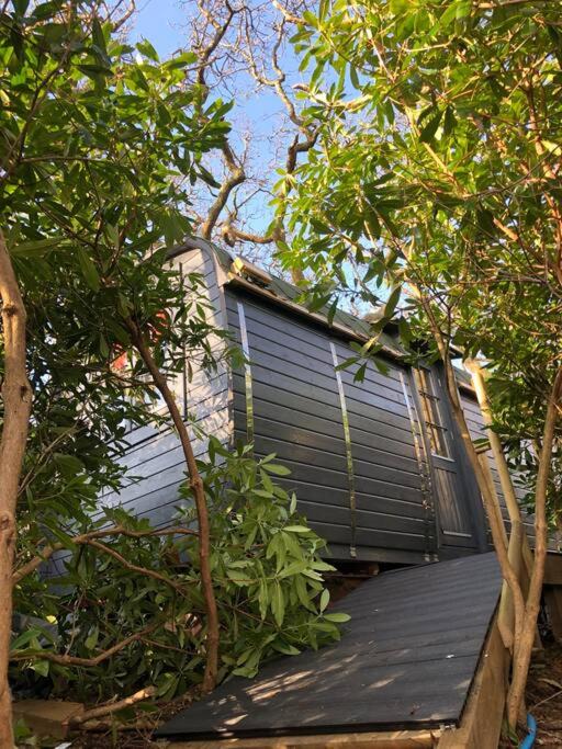 Photo of Others in Caerdeon