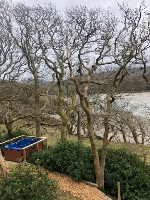 Photo of Outdoor in Caerdeon