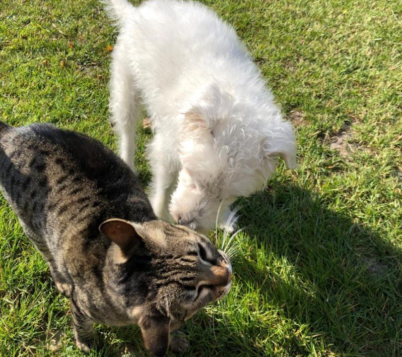 Photo of Others in Swaffham Prior