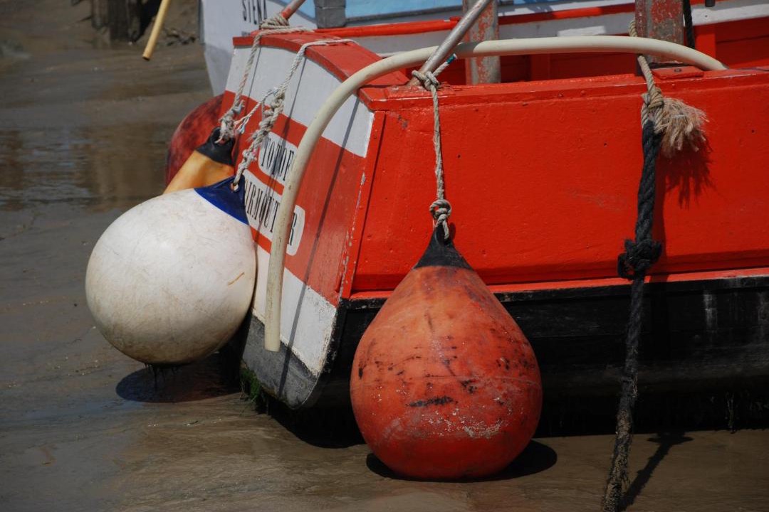 Photo of Others in Beauvoir-sur-Mer