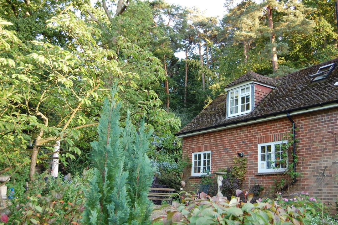 Photo of Buildings in Sunninghill