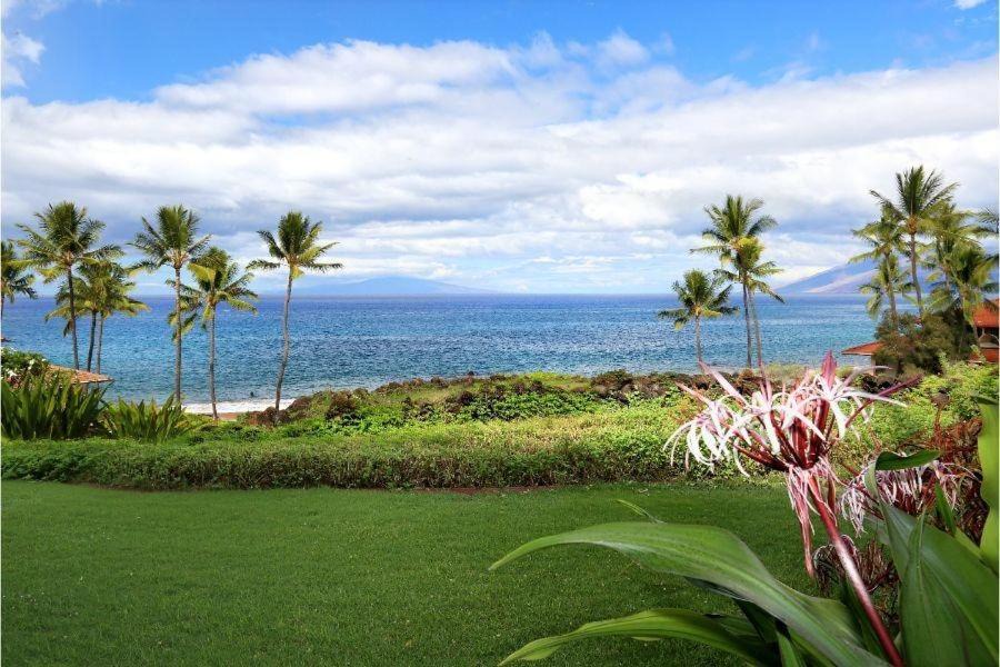 Photo of Outdoor in Wailea