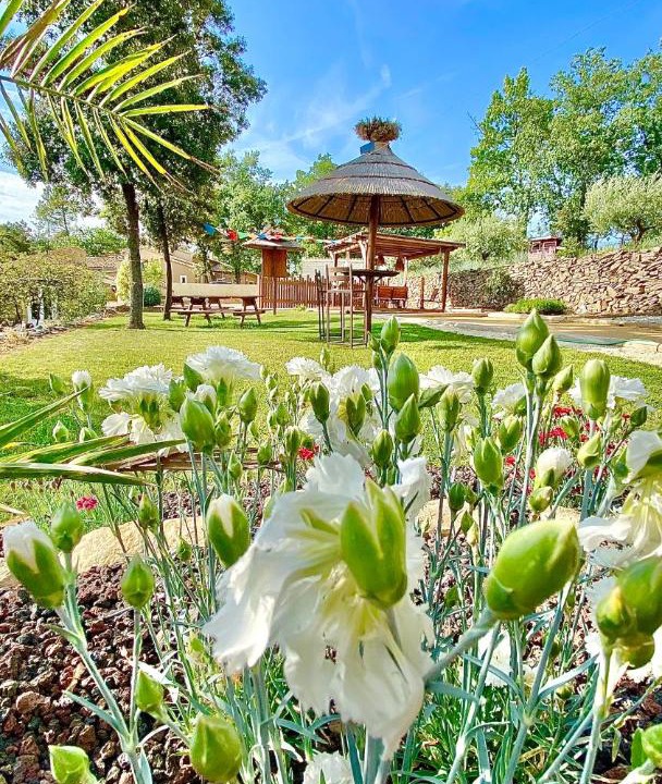 Photo of Others in Saint-Alexandre