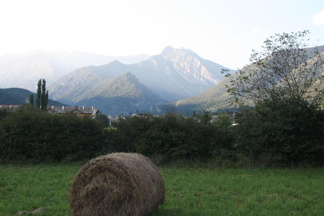Photo of Outdoor in Campo