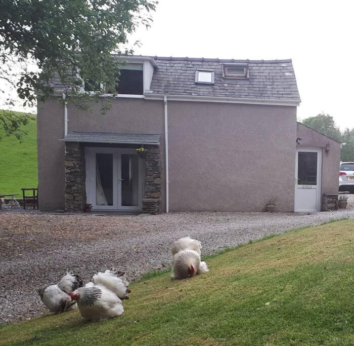 Photo of Buildings in Newby Bridge