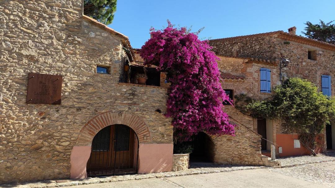 Photo of Others in Sainte-Colombe-de-la-Commanderie