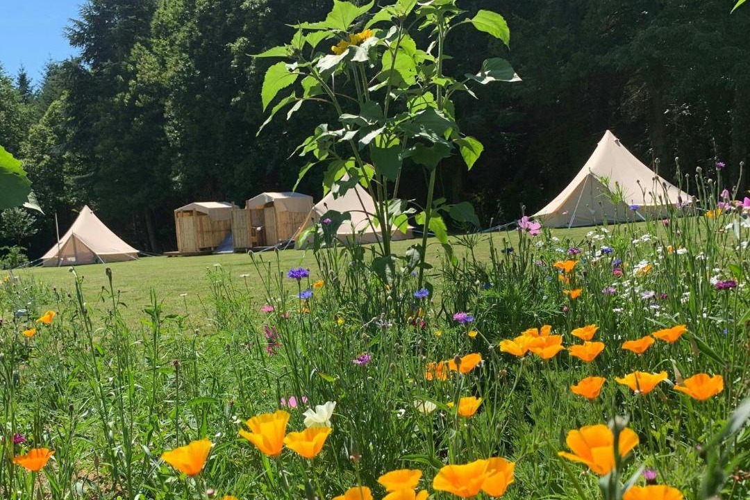 Photo of Others in Le Lindois