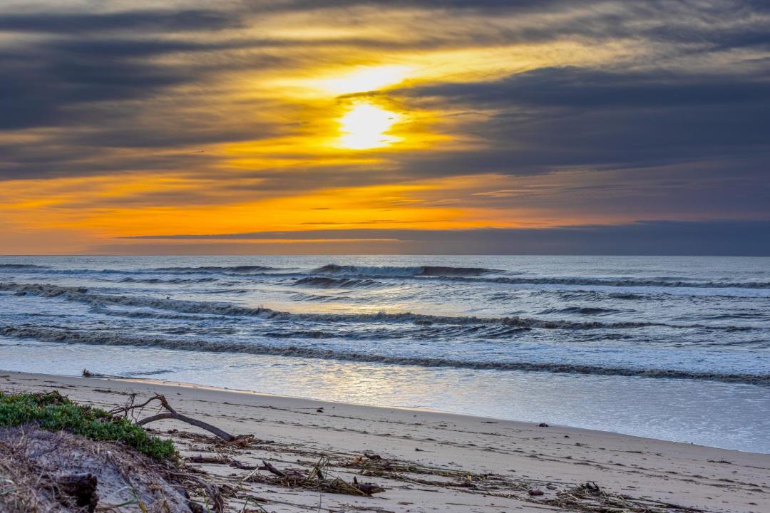 Photo of Others in Castroville