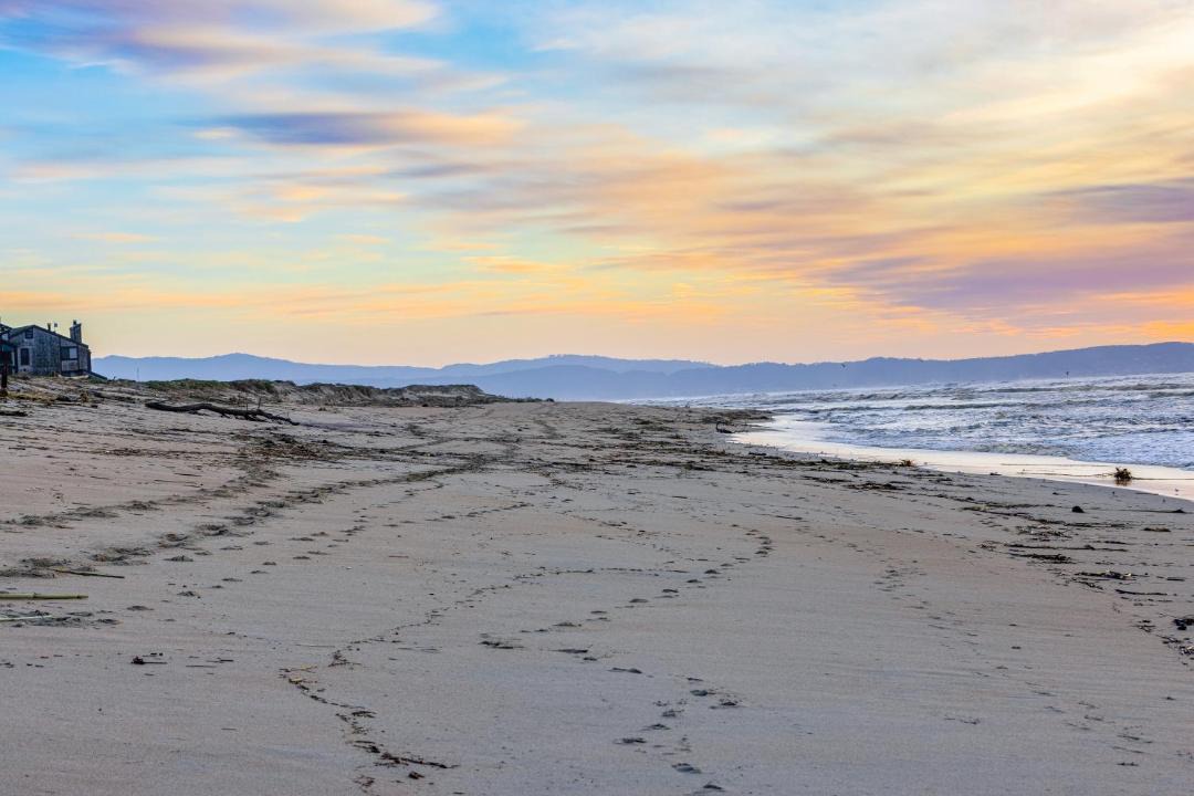 Photo of Others in Castroville