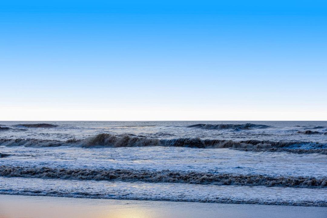 Photo of Others in Castroville