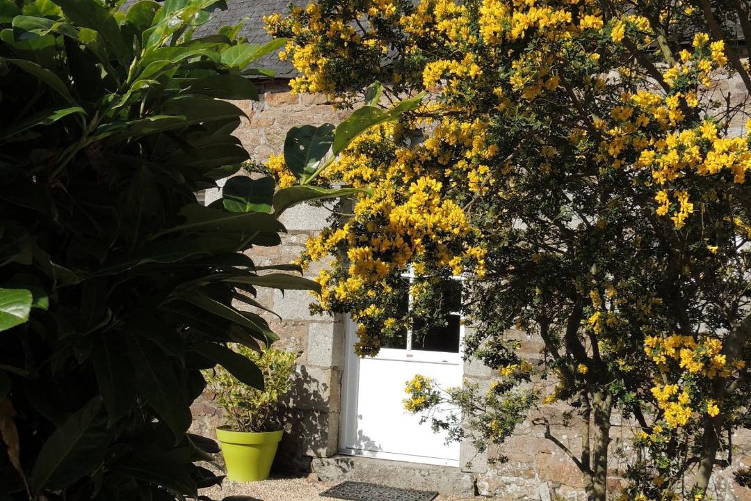 Photo of Others in Ploumilliau