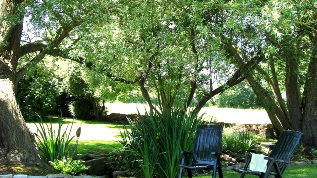 Photo of Others in Ploumilliau