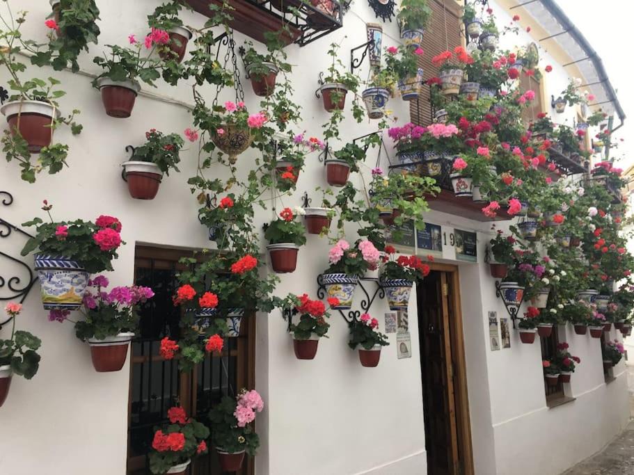 Photo of Others in Distrito de Levante