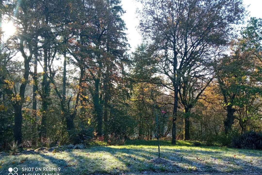 Photo of Others in Les Epesses